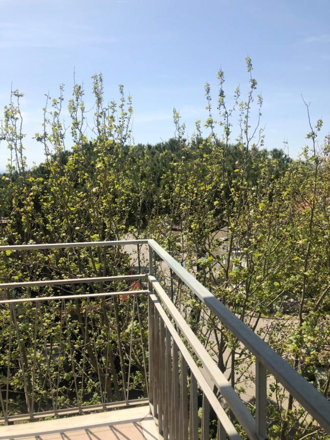 Hotel Del Falco Cervia Eksteriør bilde